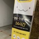 [대전] 유성 도안동 만화카페 목원대 놀숲에서 슬램덩크 만화책보기 / 보드게임 스터디룸 솔직후기