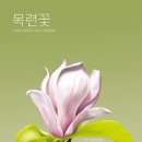 본울림한의원 이미지