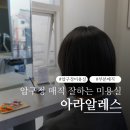알레스 | 압구정로데오 미용실 아라알레스 세령 디자이너 부분 매직 후기