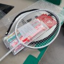 더썬클럽 | 레드썬 배드민턴 라켓 추천 장점 할인정보