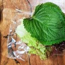 정가네족발 - 서구 월평북로 88-16 | 정가네족발