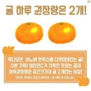 롱롱마카롱 이미지