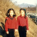 석전동180 이미지