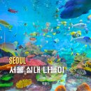 함께하는 월드 매직쇼 | 서울 실내 여행 어디갈까? 코엑스 아쿠아리움 방문기