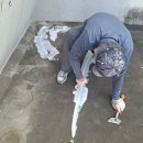 그린페인트 이미지