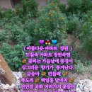 (마음을 감찰하시는 하나님의 뜻) 이미지