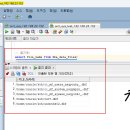 Re: 오늘의 마지막 문제_20260225 이미지
