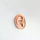 상이비인후과의원 이미지