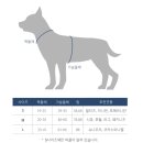 땡스독 네이버블로그