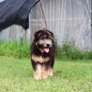 조비마을회관 이미지