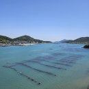 터미널] [동천항] 완도 노화도 보길도 차량 선적 요금 여객선 내부 후기 완도치유페스타 전라도 가족여행