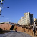 낙동강하구아미산전망대 이미지