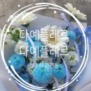 ✨청주 가경동 &#39;다예플레르&#39; - 감성 가득한 24시간 꽃집 후기✨