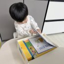 그림월드 | 유아 창작 그림책 전집 추천 맥밀런 월드베스트 언박싱 후기