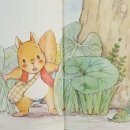 도토리곰