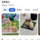 포포픽스 네이버블로그