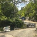 용인자연숲캠핑장 A7 사이트 후기, 아이와 함께 다녀온 2박 3일 캠핑, 경기도 용인 계곡 캠핑장 추천