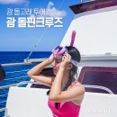 돌고래 | 괌 돌핀크루즈 괌 액티비티 추천 예약 돌고래 후기