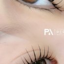 펄미에이트 이미지