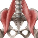 인더핏피트니스 이미지