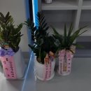 라온메디칼 이미지