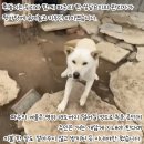 동이스토리