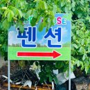 풍차와 시냇물 이미지