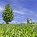 대산1로 이미지