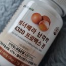 난각막 에너베라 난각막 4320 프로맥스 정 후기 피부관절 건강을 위한 완벽한 선택