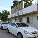 기풍렌트카 이미지