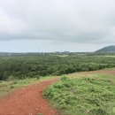 제주 올레길 14-1코스 이미지