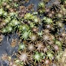 육사농장 이미지