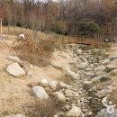 일자산 자연공원 이미지