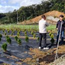 유계리 농장 이미지