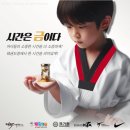 보성태권도 이미지