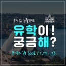 코코스뉴질랜드 네이버블로그