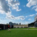 댕글라이프 이미지