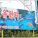 양촌유원지 Daum카페