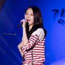 대관령야외공연장 티스토리