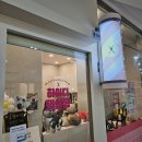 애견미용 | 부산애견미용 리얼 방문 후기 : ‘하이디 펫살롱’ 에 정착 했어요