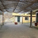 원주곤충마을박물관 이미지