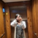 88마트 | [가족여행] 다낭 4일차(롯데마트,소담한식,에그커피,88이발관,다낭공항)