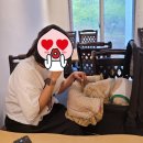 남도가든 - 도봉구 우이천로4다길 82 | 진도 애견동반 맛집 🍜 가든 다담 & 남도식당 솔직 후기
