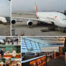 대학당안경 이미지