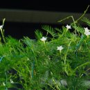 중동할머니 경로당 이미지