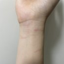 사또옛날통닭 이미지
