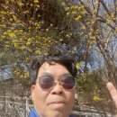 이응철「어머님」 이미지