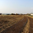 산호아파트앞 이미지