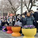 무안중학교 이미지