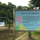 고래실공원 이미지